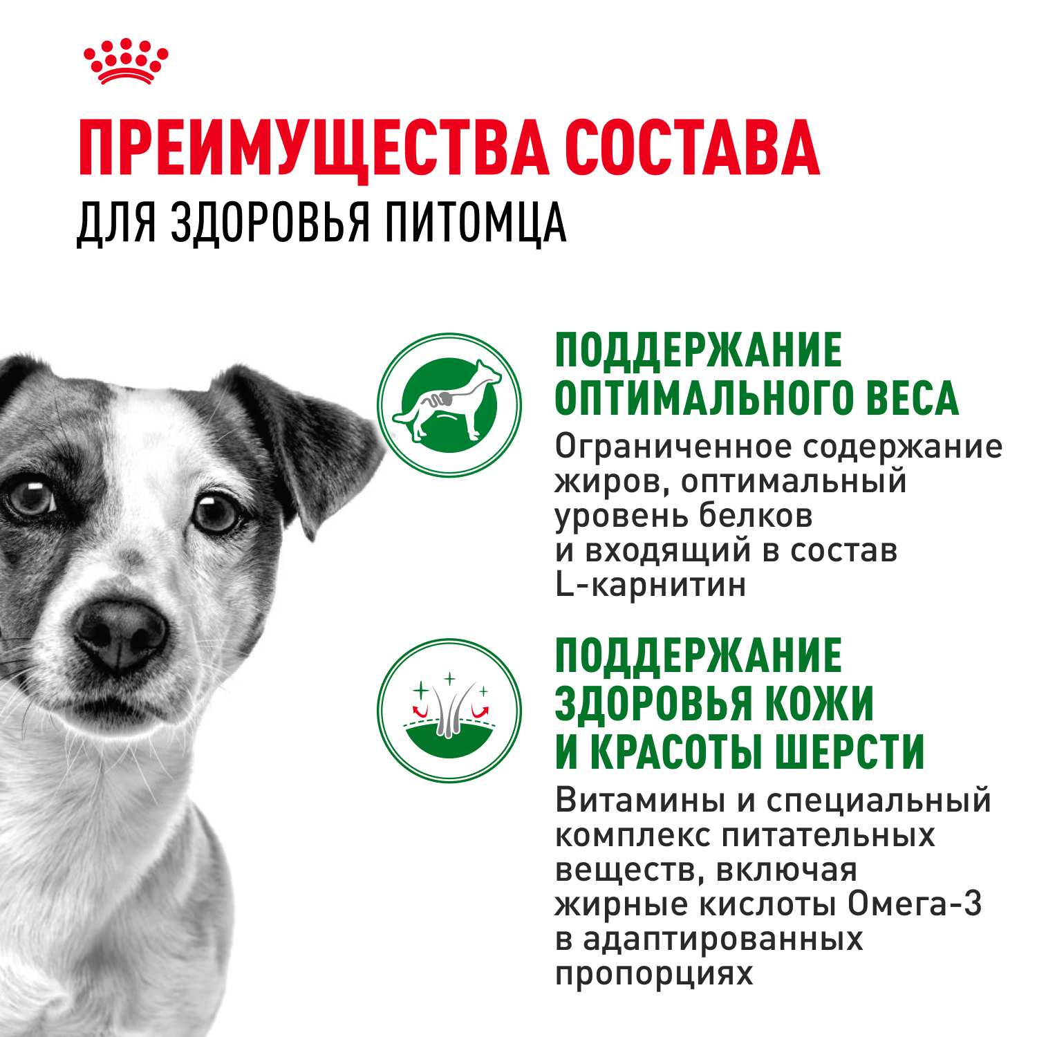Корм для собак ROYAL CANIN Adult мелких размеров от 10 месяцев кусочки в соусе пауч 85г - фото 4