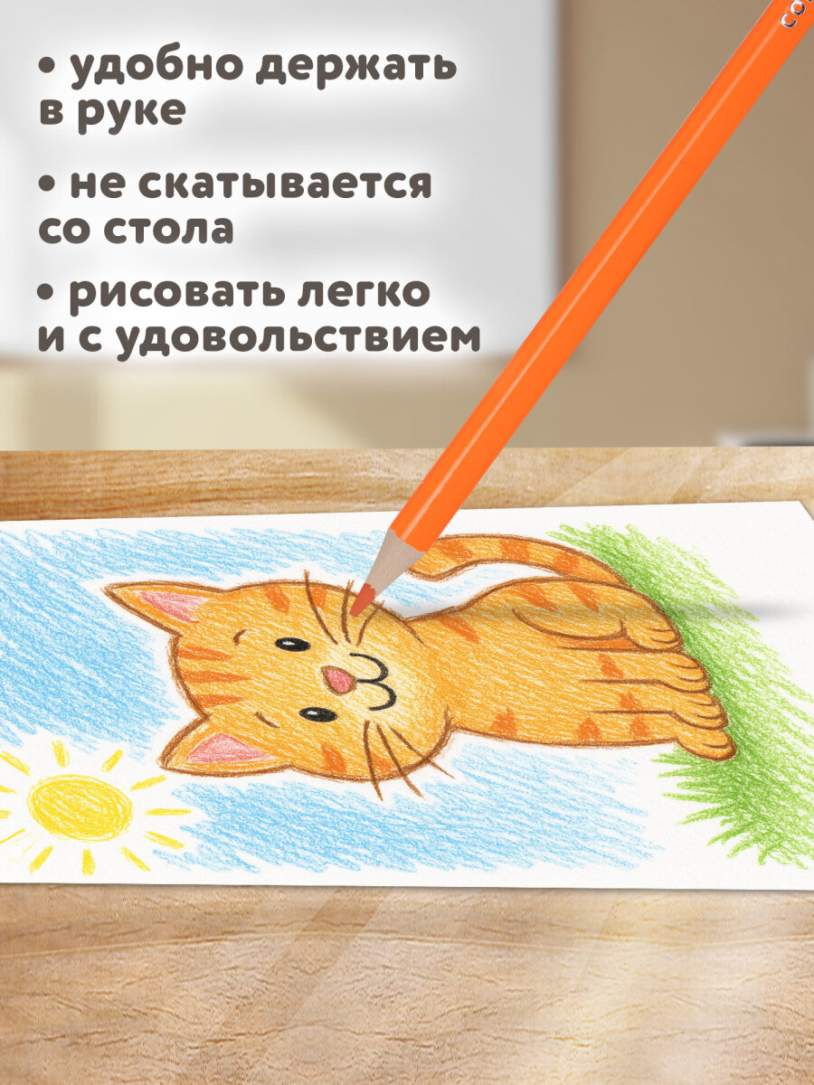 Карандаши цветные Brauberg 24 шт. - фото 3