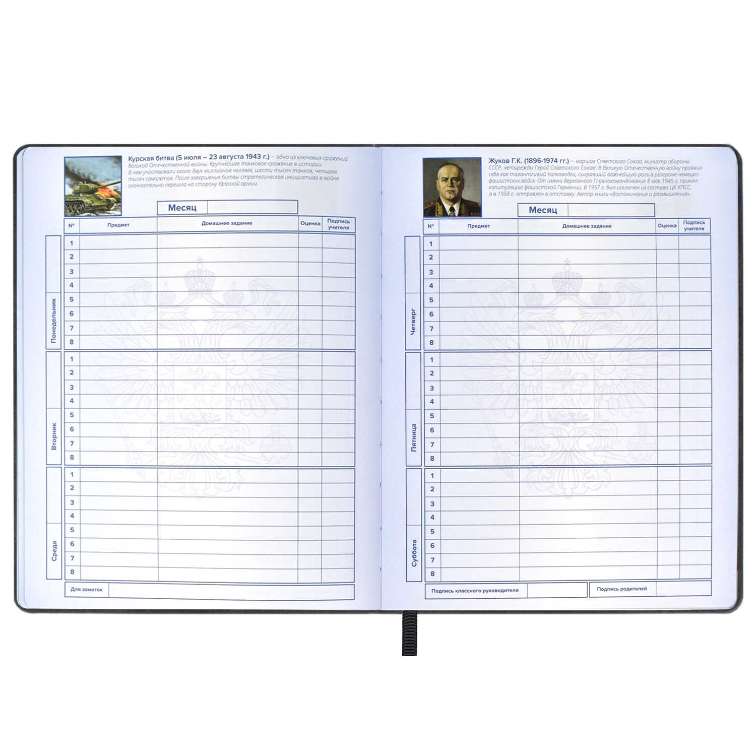 Дневник школьный Феникс + Дневник российского школьника2 - фото 4