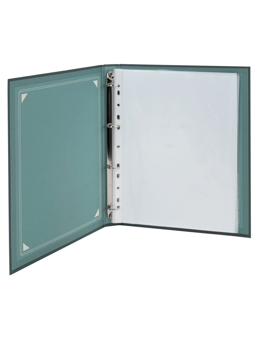 Портфолио школьника Brauberg папка А4 на кольцах 20 файлов для девочки и мальчика - фото 3