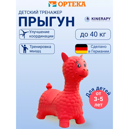 Прыгун KINERAPY 40 см