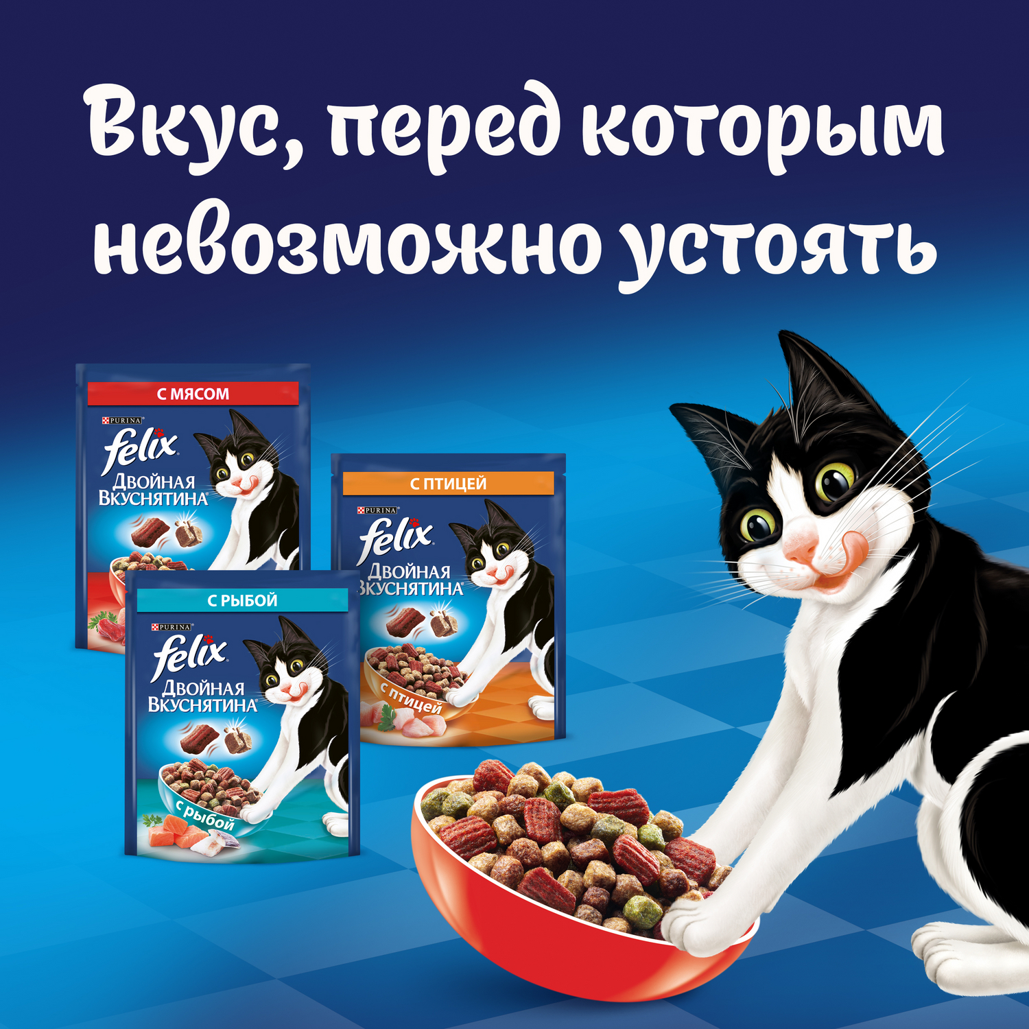 Корм для кошек Felix Двойная вкуснятина с птицей сухой 300г - фото 5