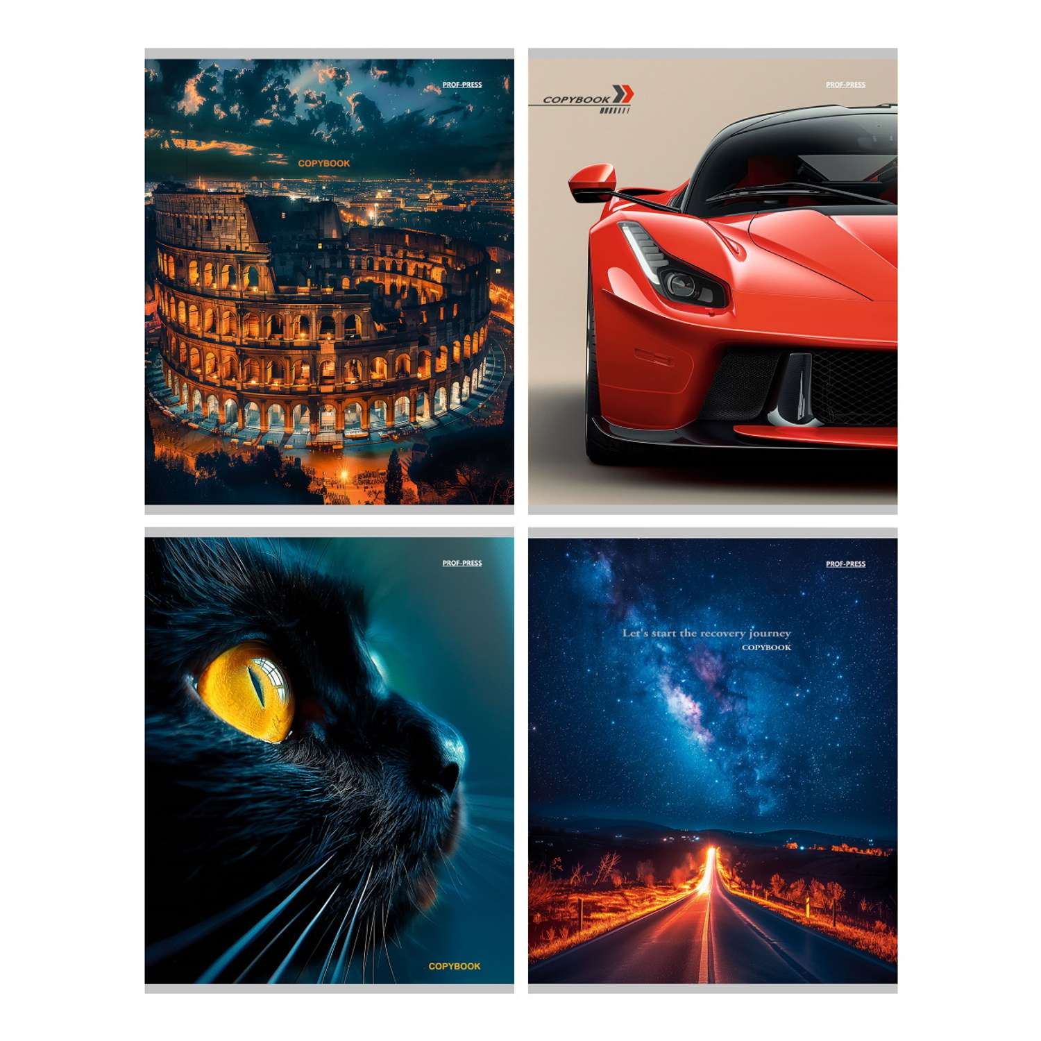 Тетрадь Prof-Press клетка 96 лист. в ассортименте - фото 2