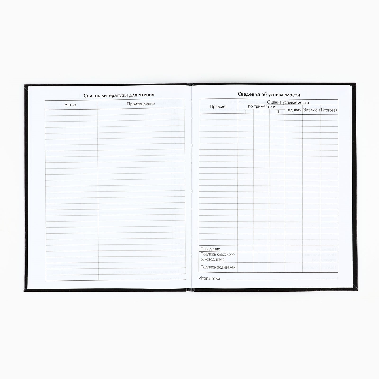 Дневник ArtFox STUDY школьный для 1-11 класса - фото 4