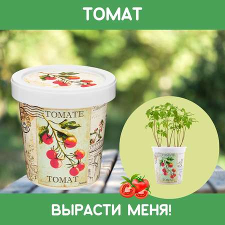 Набор для выращивания Rostok Visa