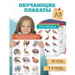 Игрушка Дрофа-Медиа