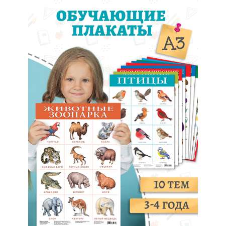 Игрушка Дрофа-Медиа