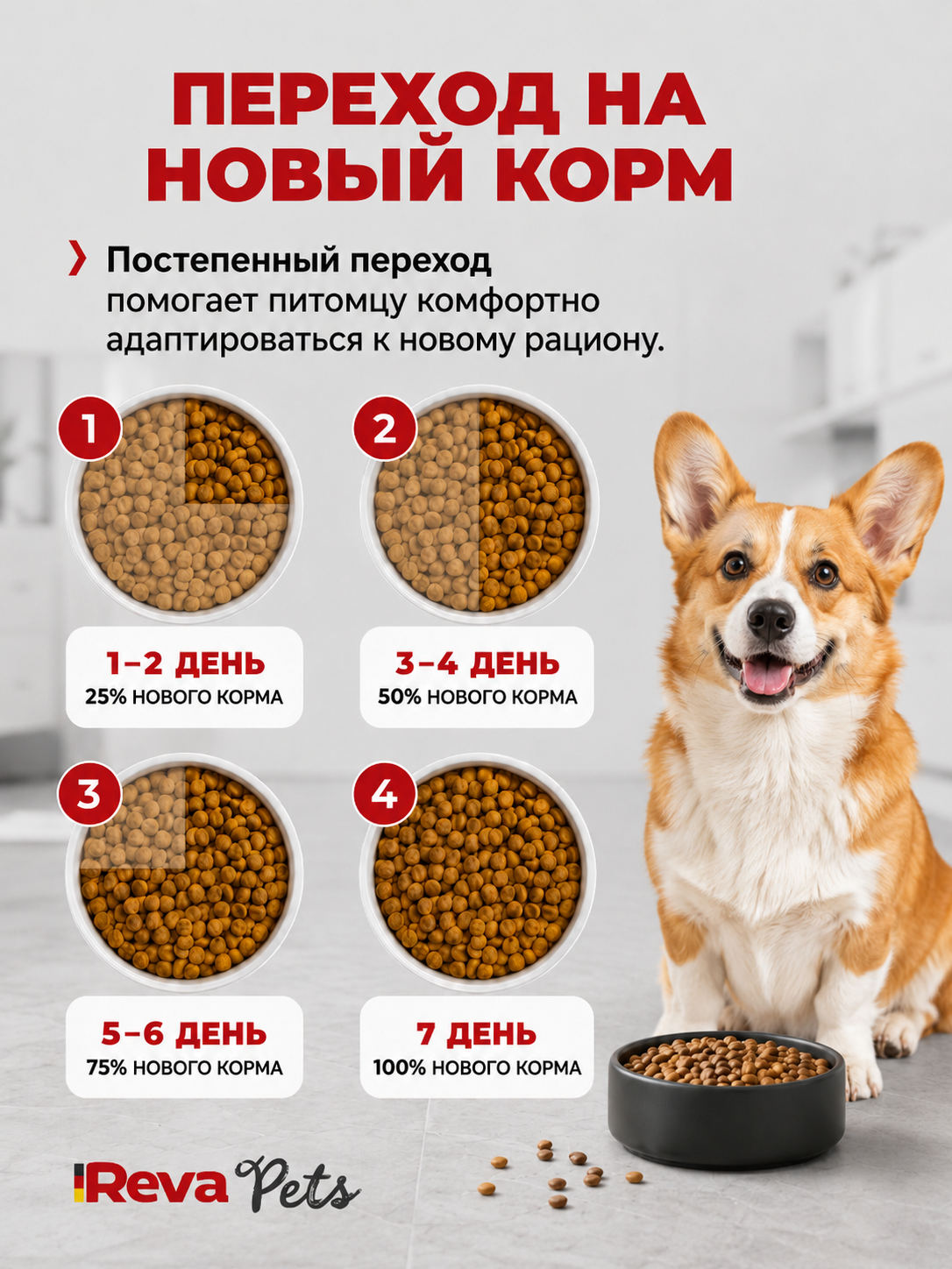 Корм для собак Reva Care сухой полнорационный для собак всех пород с говядиной, 2 кг - фото 4