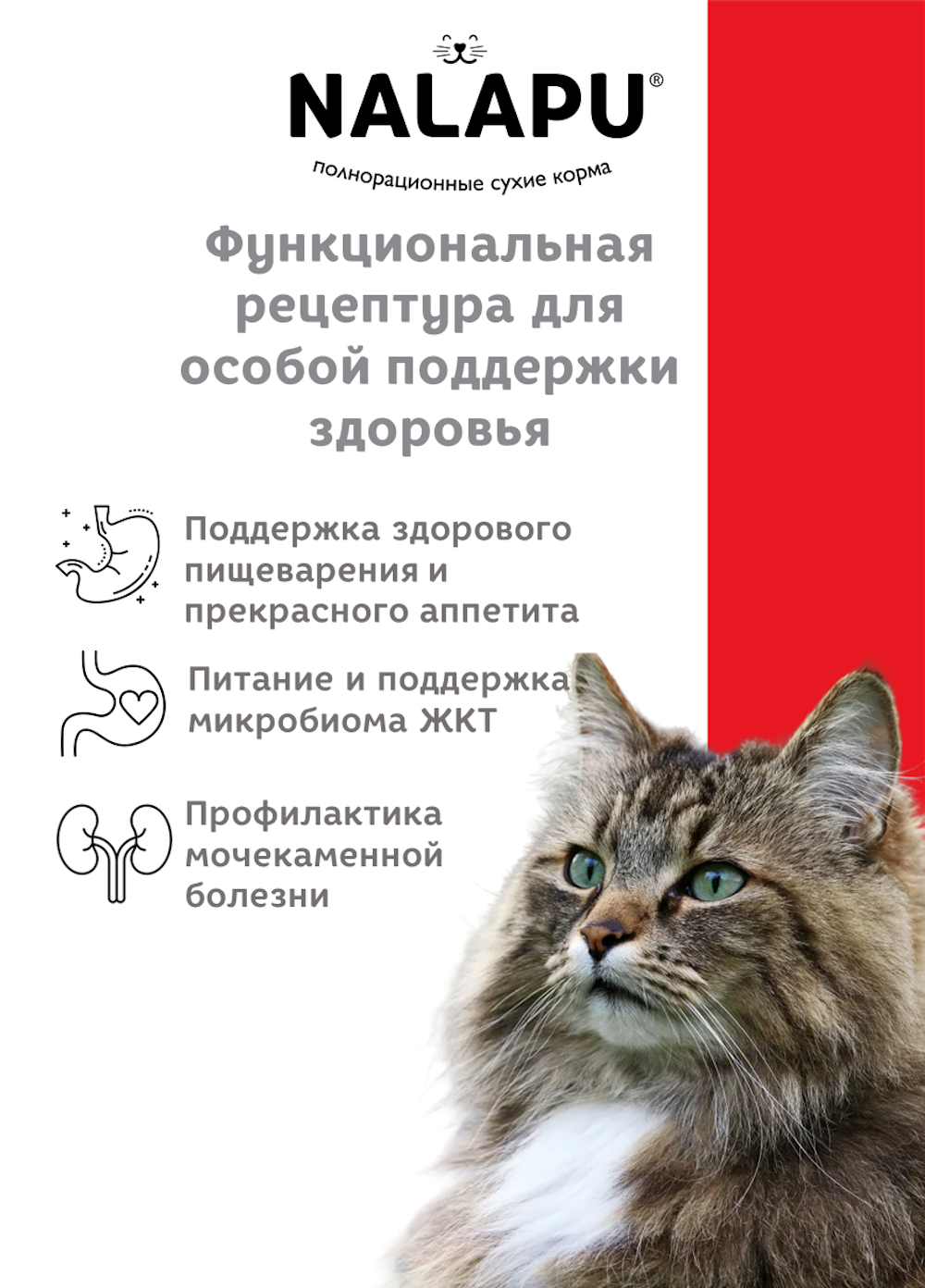 Корм для кошек NALAPU The Best appetite Sterilized с говядиной и курицей 1.2кг - фото 7