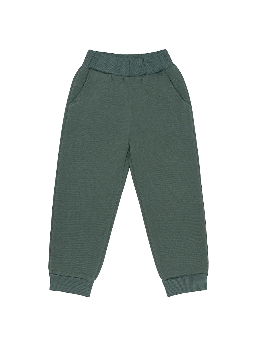 Брюки Эскимо у-12-801полынь - фото 3