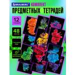 Изображение товара Тетрадь Brauberg 48 лист. 12 шт.