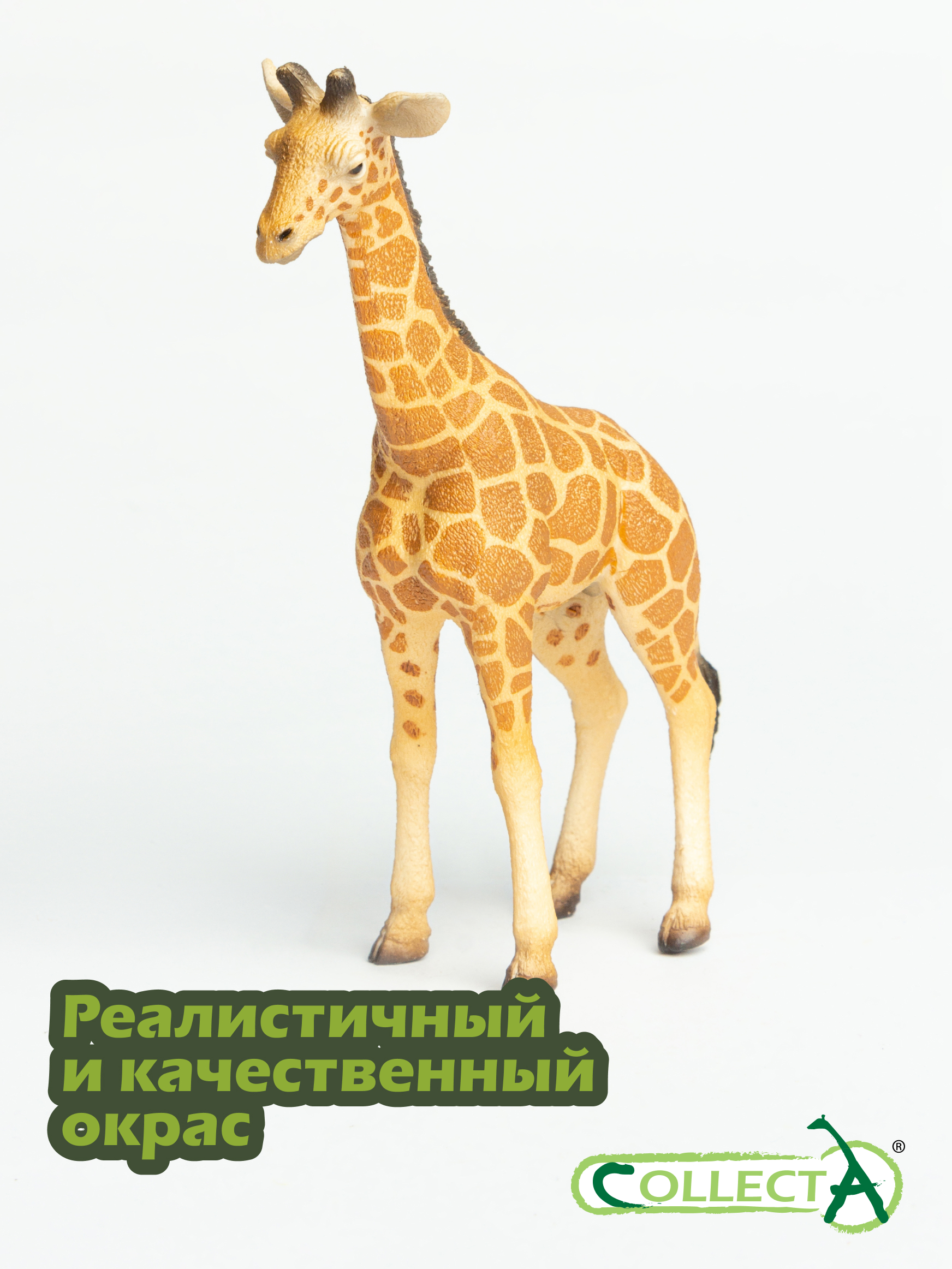 Фигурка Procon (Asia) Ltd Жеребенок Сетчатого Жирафа - фото 4