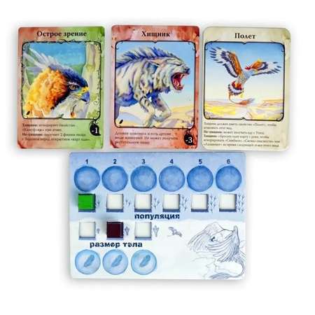 Настольная игра Правильные Игры