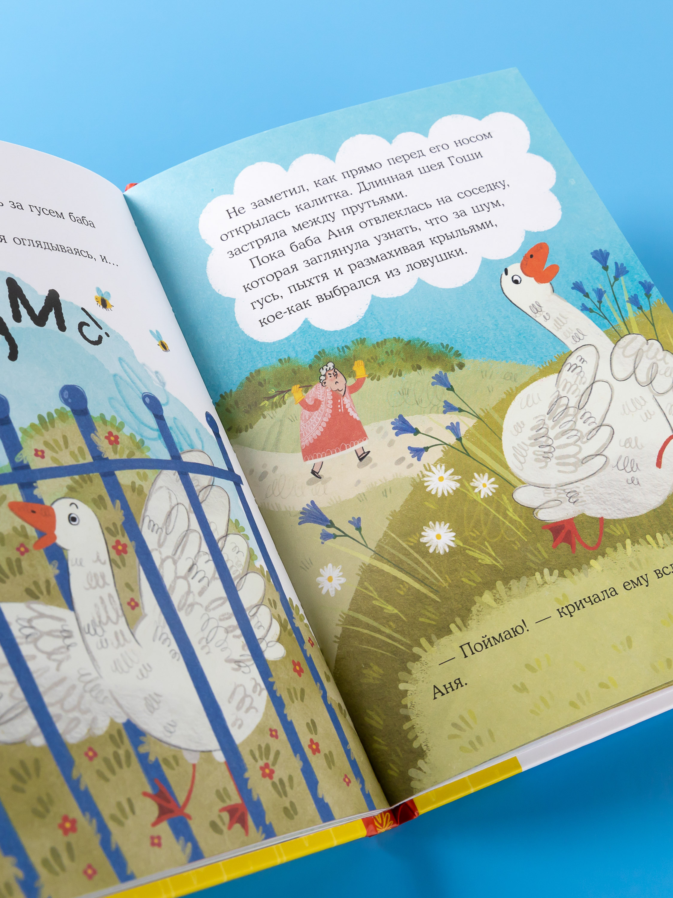 Книга Альпина. Дети Гусь Гоша Урок для зазнайки - фото 6