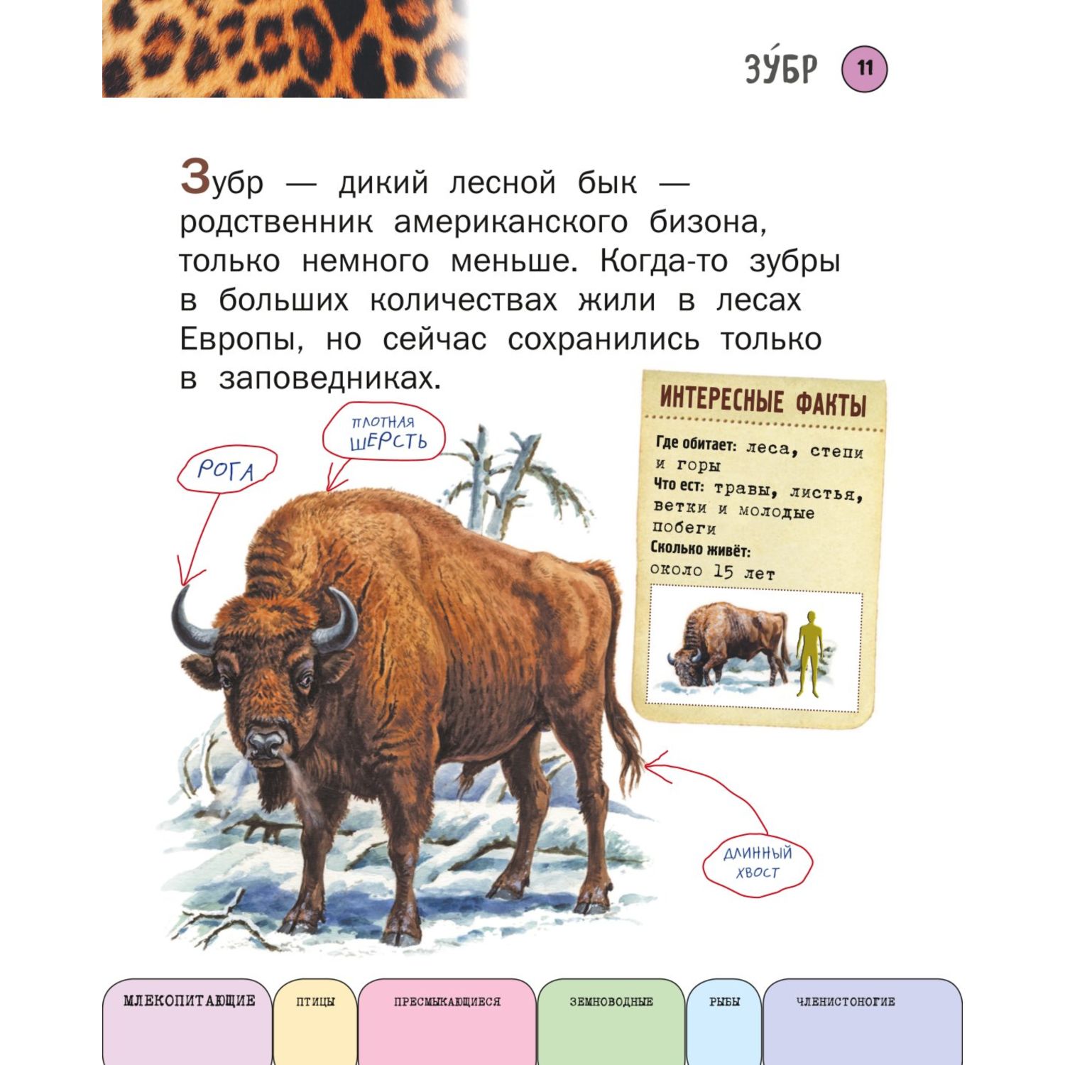 Книга Эксмо Все животные с крупными буквами - фото 9