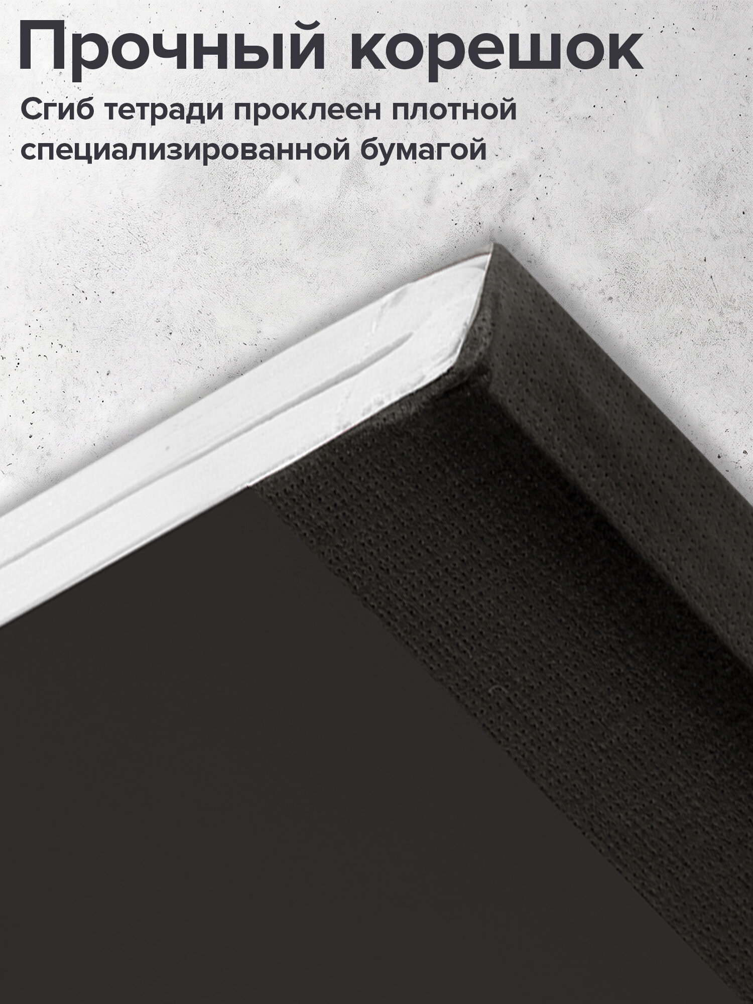 Тетрадь Brauberg клетка 96 лист. 2 шт. - фото 4