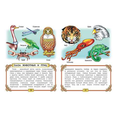 Книга Русич Первая книга знаний