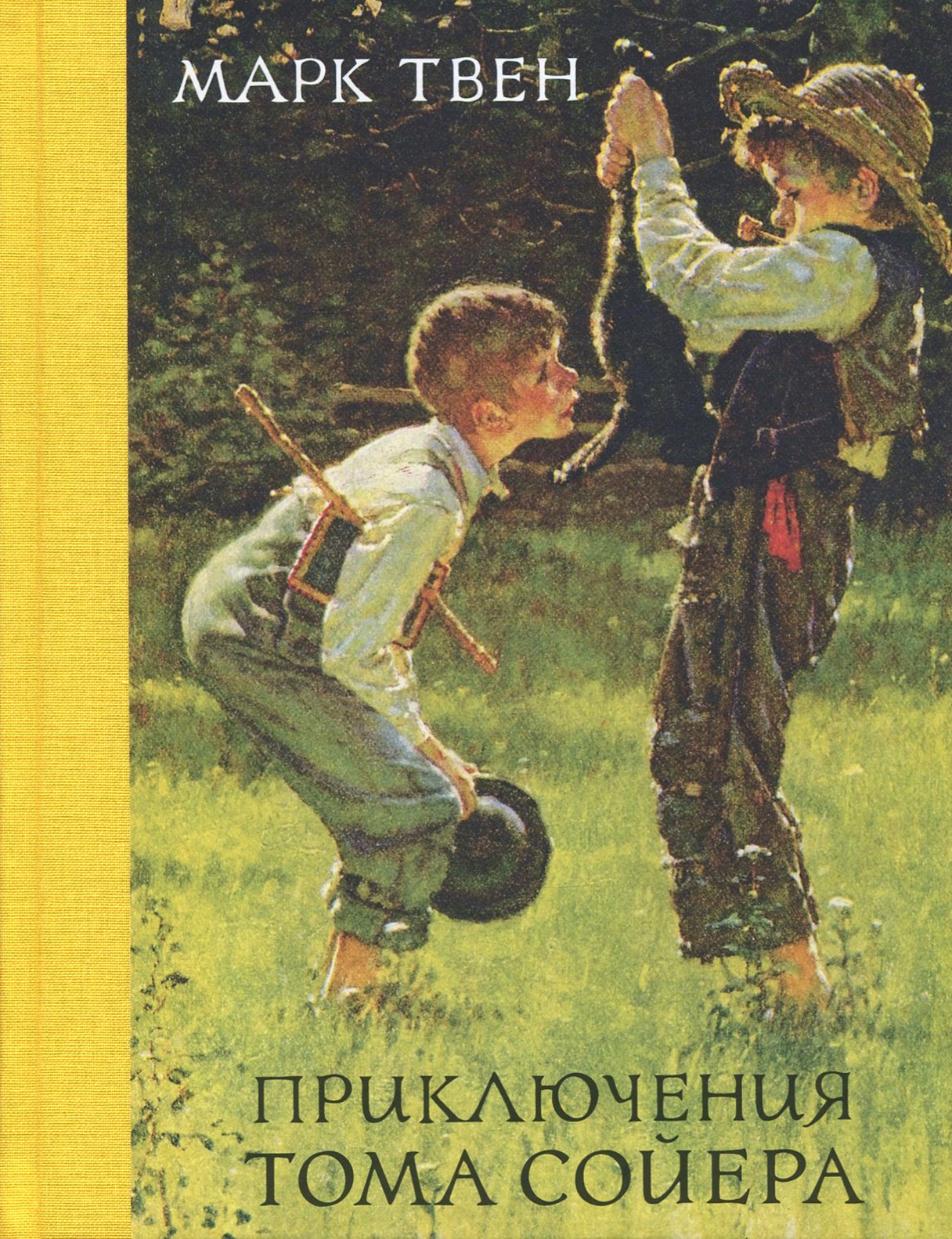 Книга Стрекозa Приключения Тома Сойера - фото 1