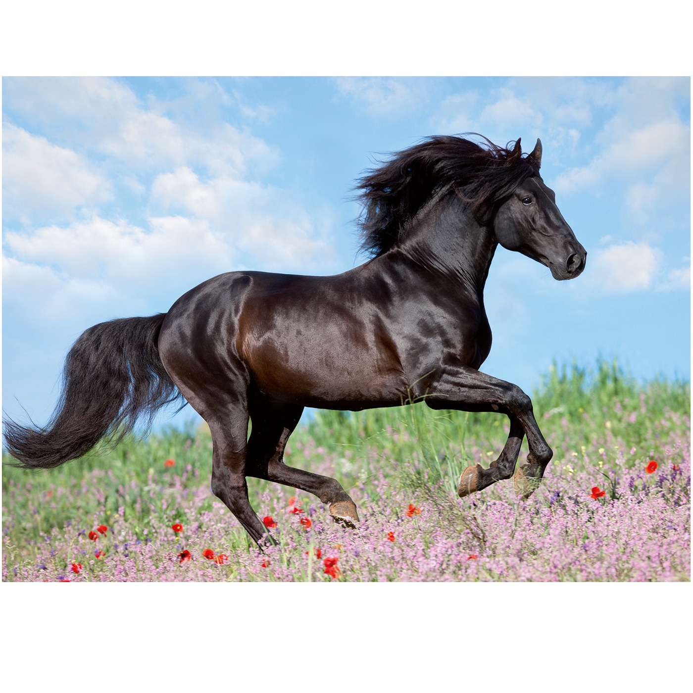 Пазл Ravensburger 3D - фото 1