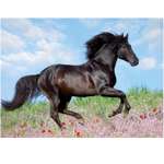 Пазл Ravensburger 3D