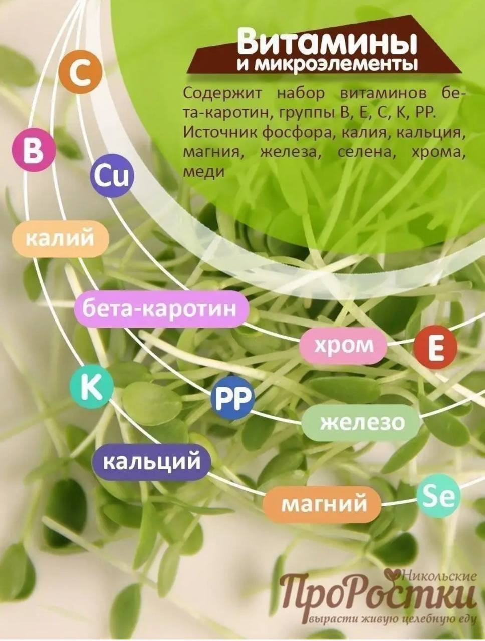 Семена для микрозелени MegaMedia клевер - фото 5