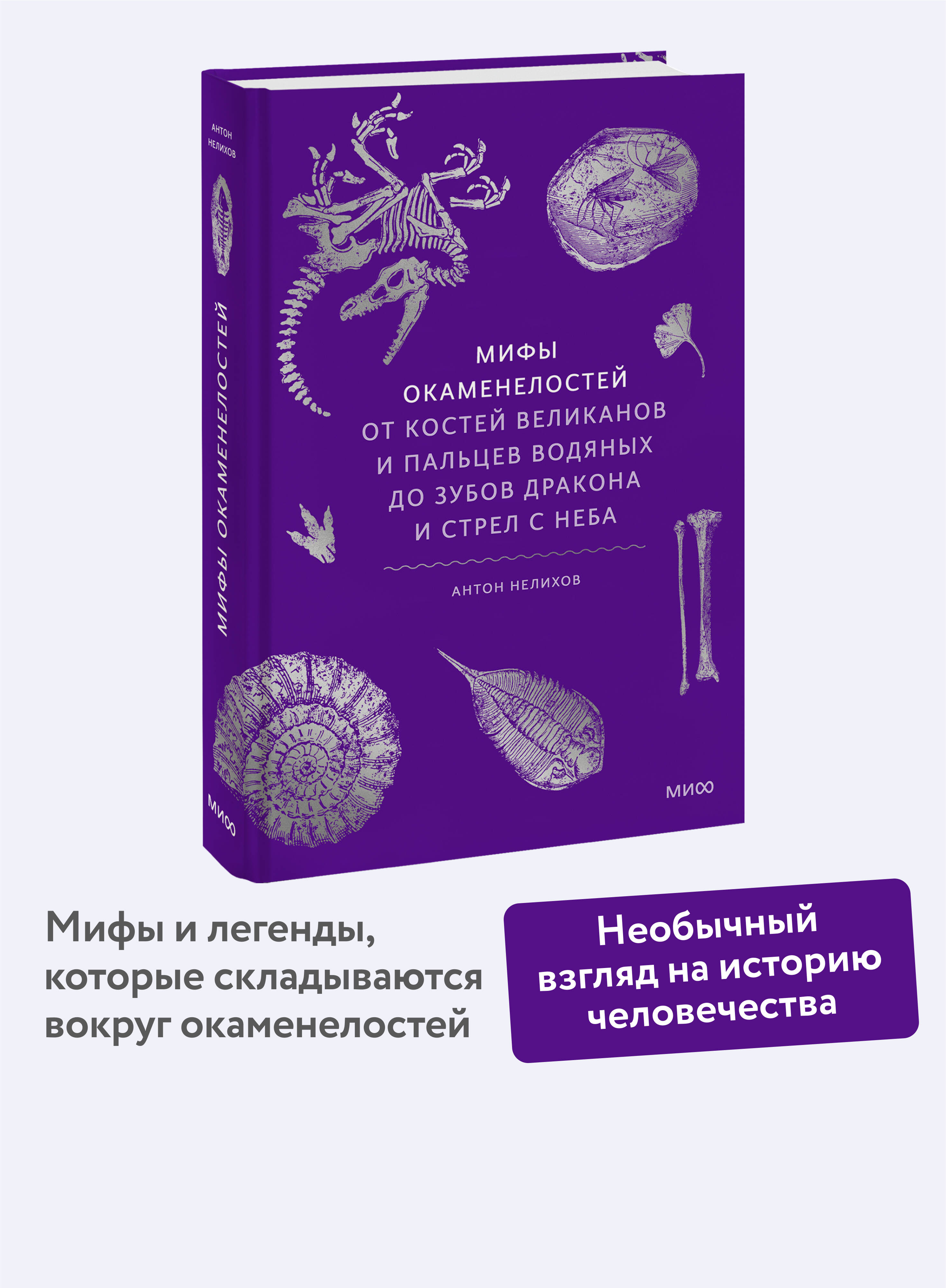 Книга МИФ Мифы окаменелостей. От костей великанов и пальцев водяных до зубов дракона - фото 1