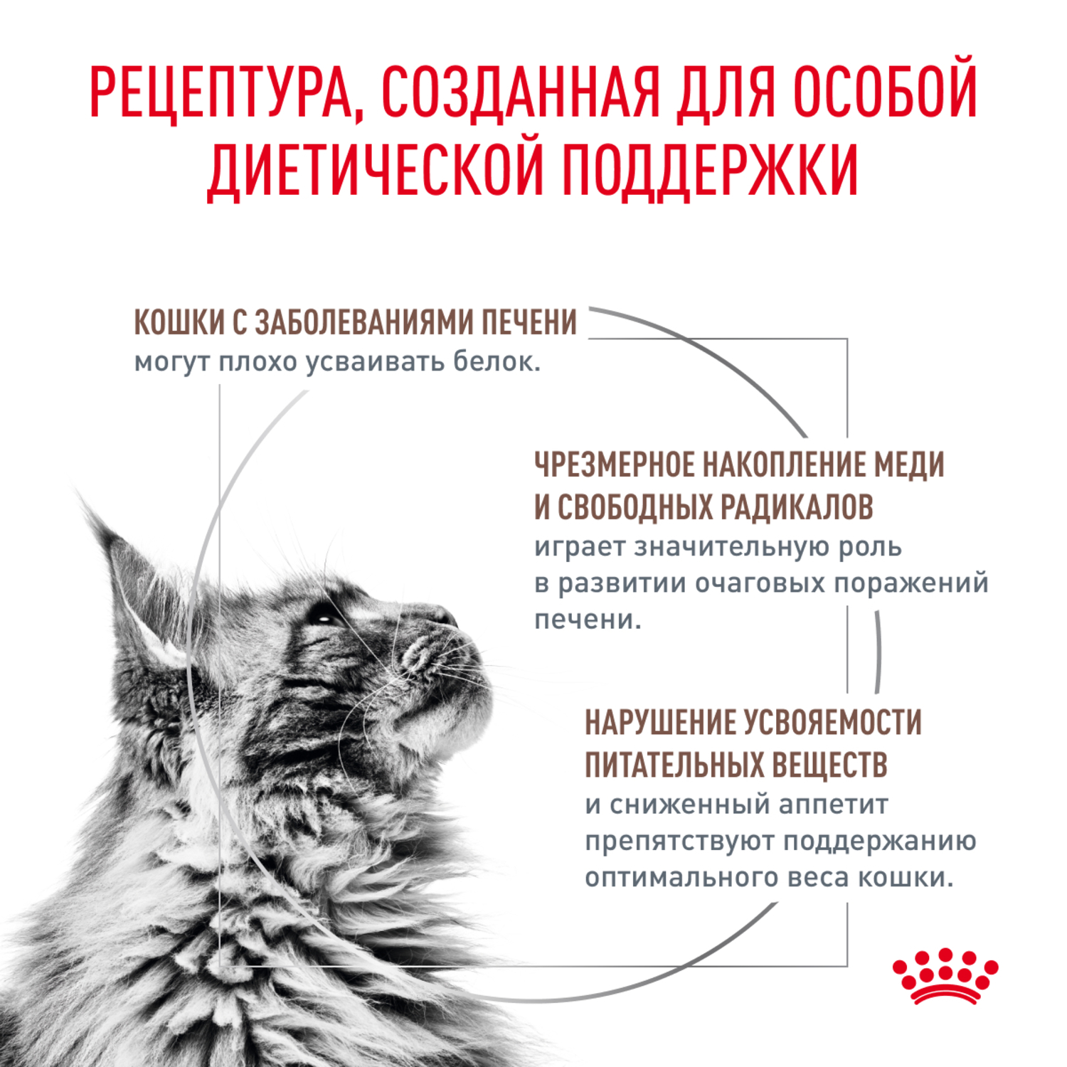Корм для кошек ROYAL CANIN Hepatic для поддержания функции печени 350г - фото 2