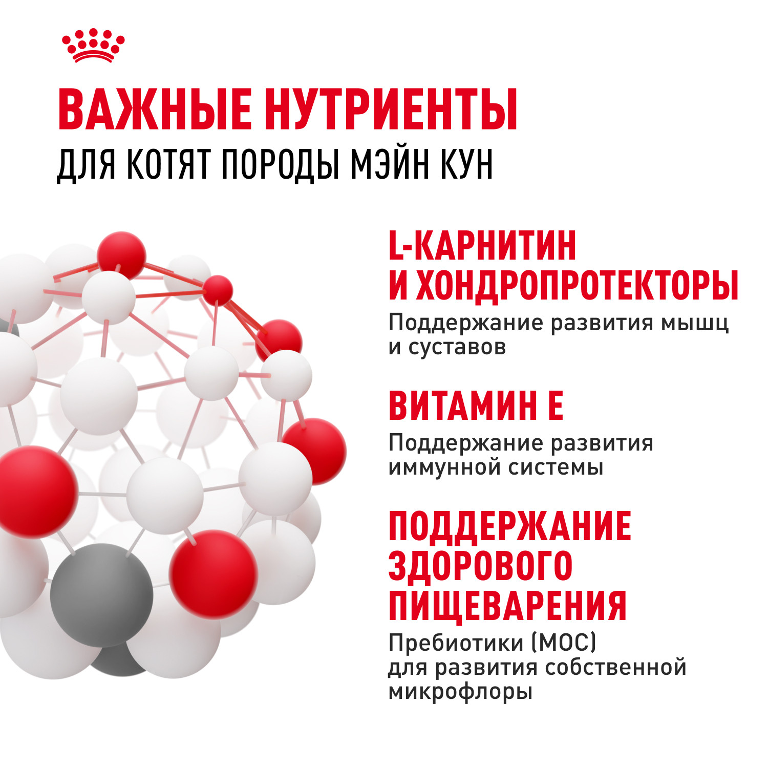 Корм для котят Royal Canin 400г Maine Coon породы мейн-кун - фото 5