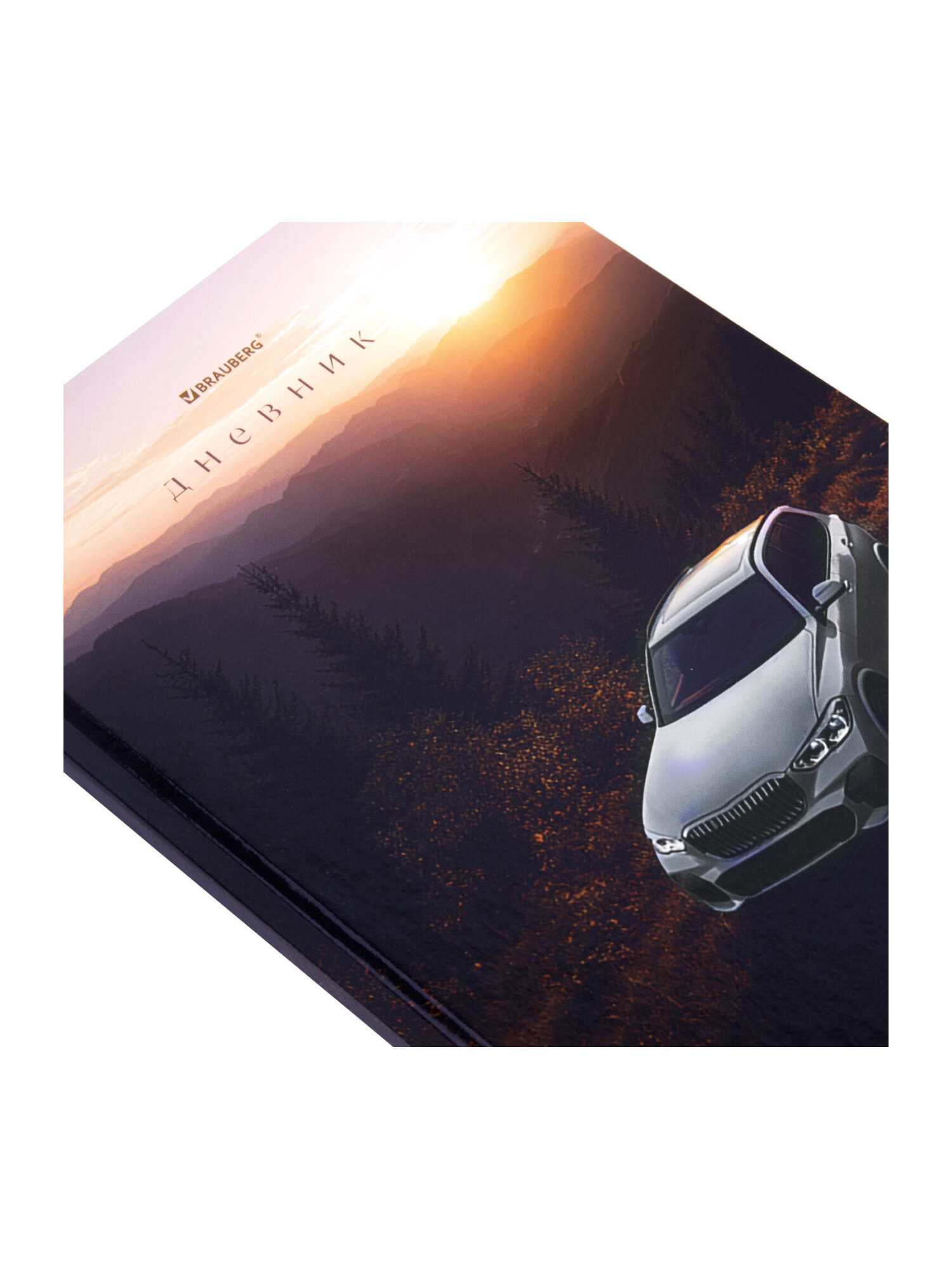 Дневник школьный Brauberg для мальчика 1-11 класс твердая обложка 40 листов - фото 4