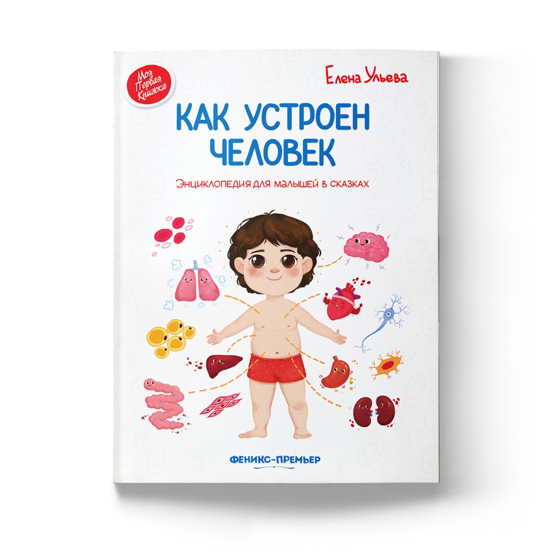 Книга Феникс Премьер Как устроен человек. Энциклопедия для малышей в сказках - фото 2