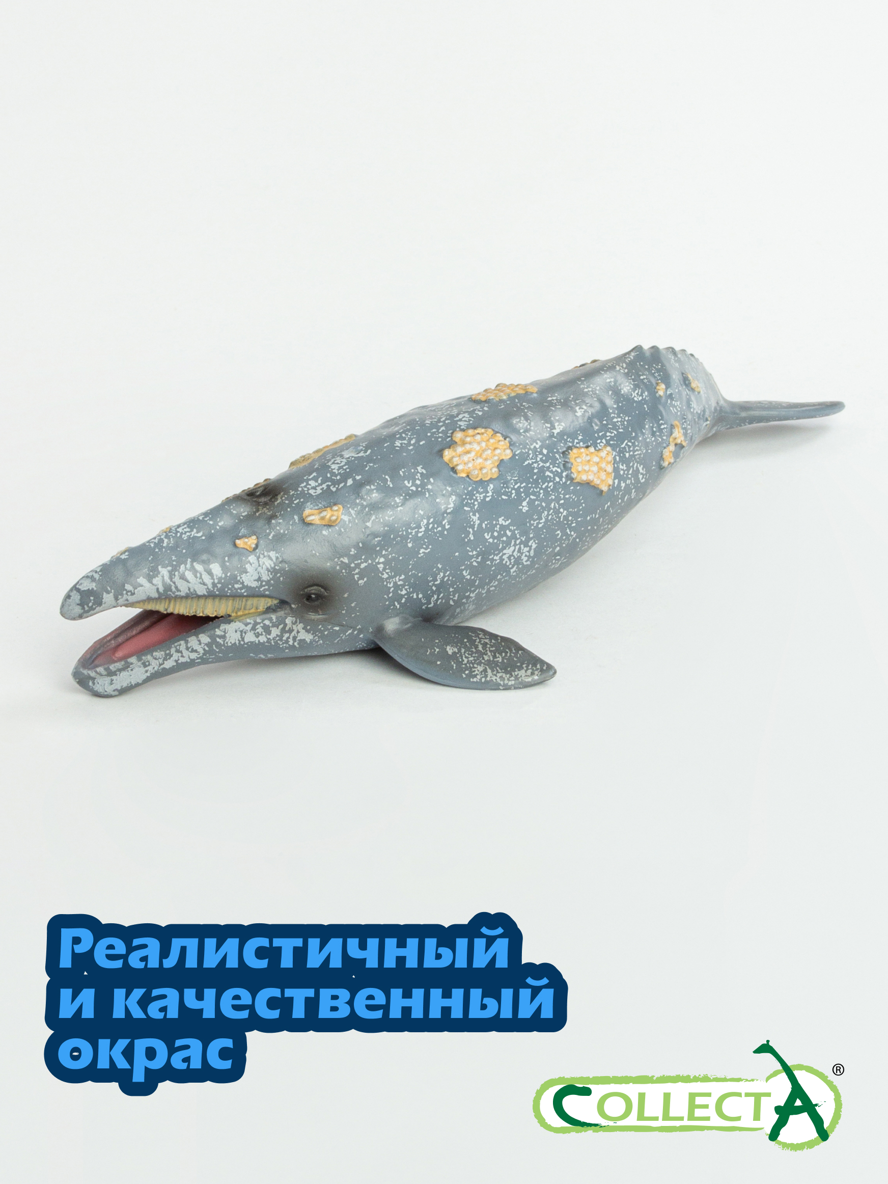 Фигурка Collecta Серый кит - фото 4