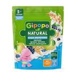 Каша Gipopo молочная овсяная яблоко черника черная смородина 170г с 5 месяцев