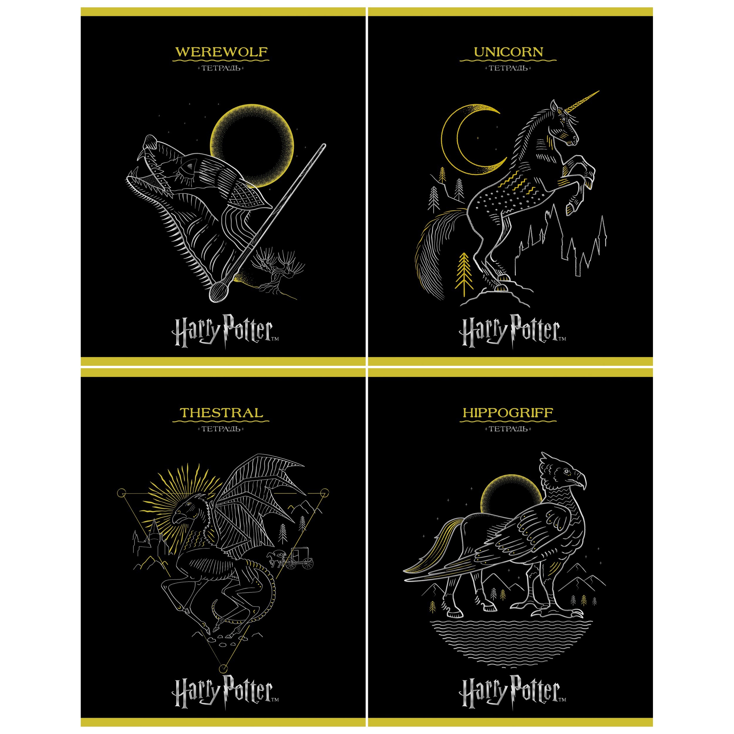 Изображение товара Общая тетрадь Hatber клетка 48 листов А5 с тиснением фольгой