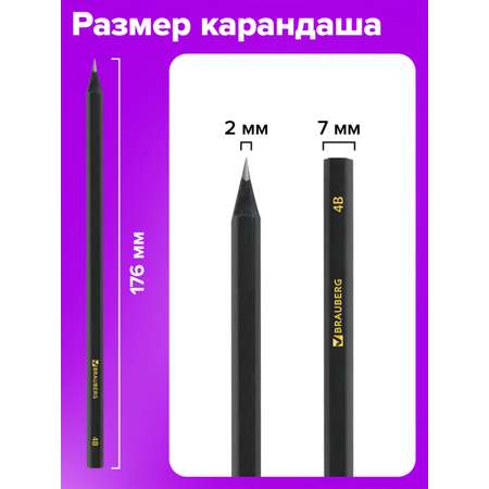 Карандаши чернографитные Brauberg 12 шт.