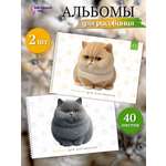 Альбом ШКОЛЬНЫЙ МИР Детский А4 40 лист. 2 шт.