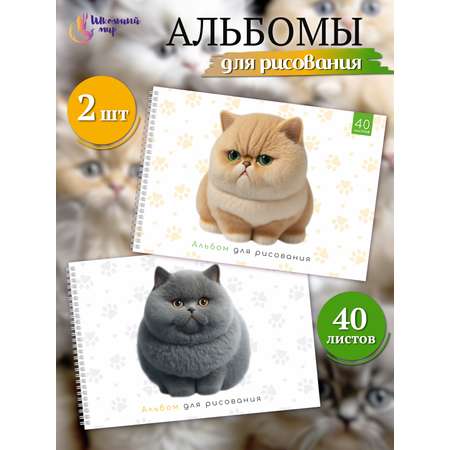 Альбом ШКОЛЬНЫЙ МИР Детский А4 40 лист. 2 шт.