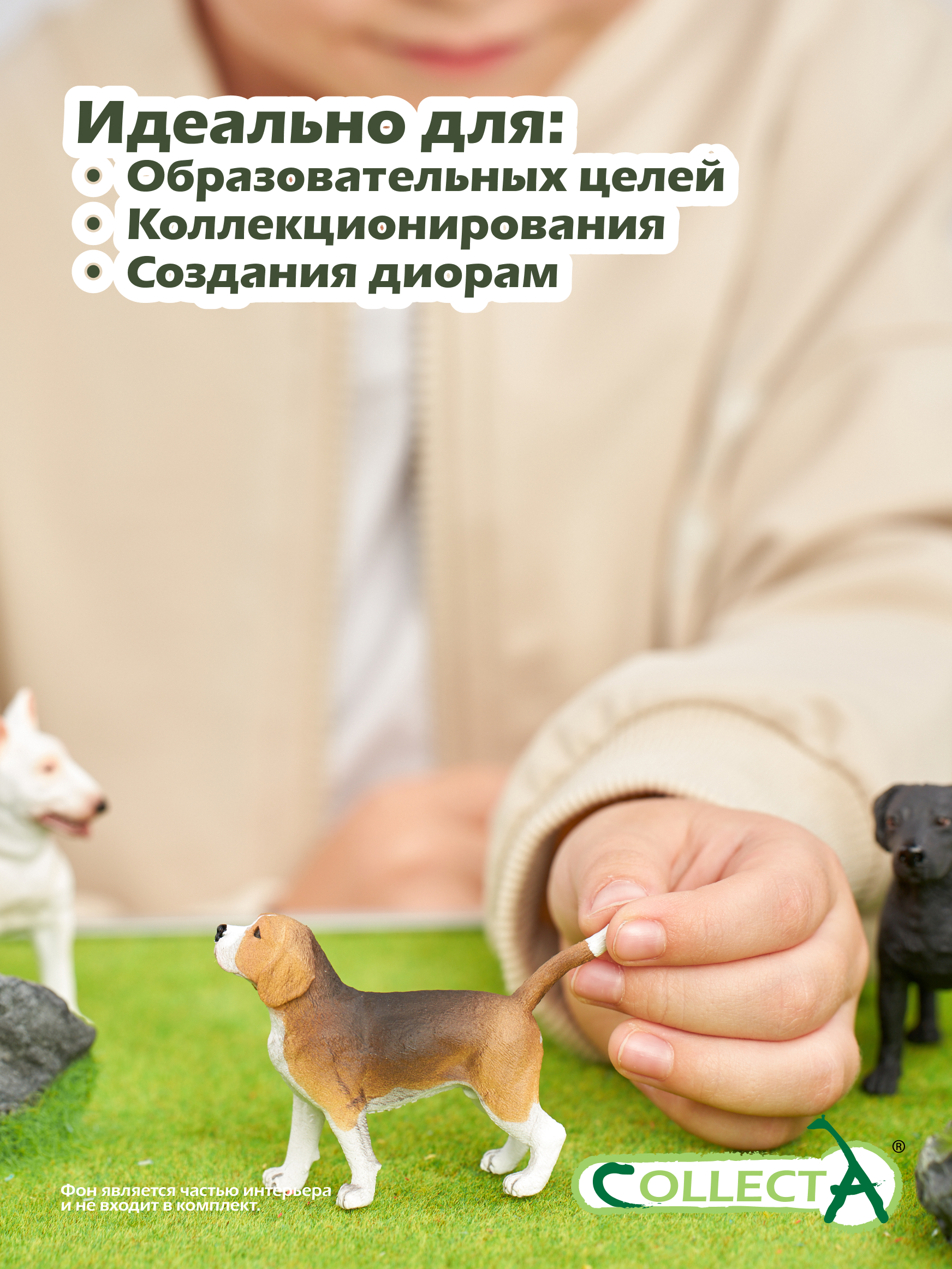 Фигурка Collecta Собака Бигль - фото 6