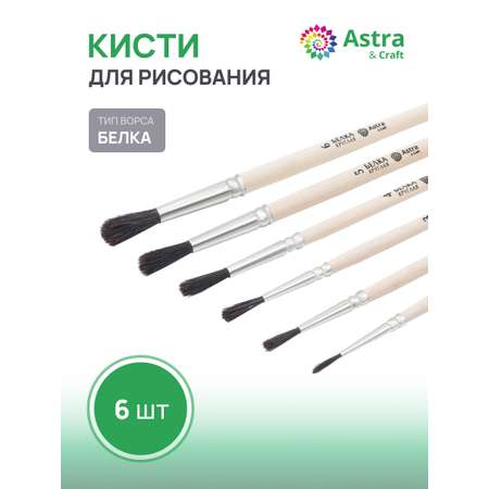 Кисть Astra Craft 6 шт. (белка)