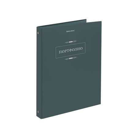 Портфолио школьника Brauberg папка А4 на кольцах 20 файлов для девочки и мальчика