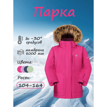 Парка GUSTI