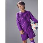 Вратарская форма KELME