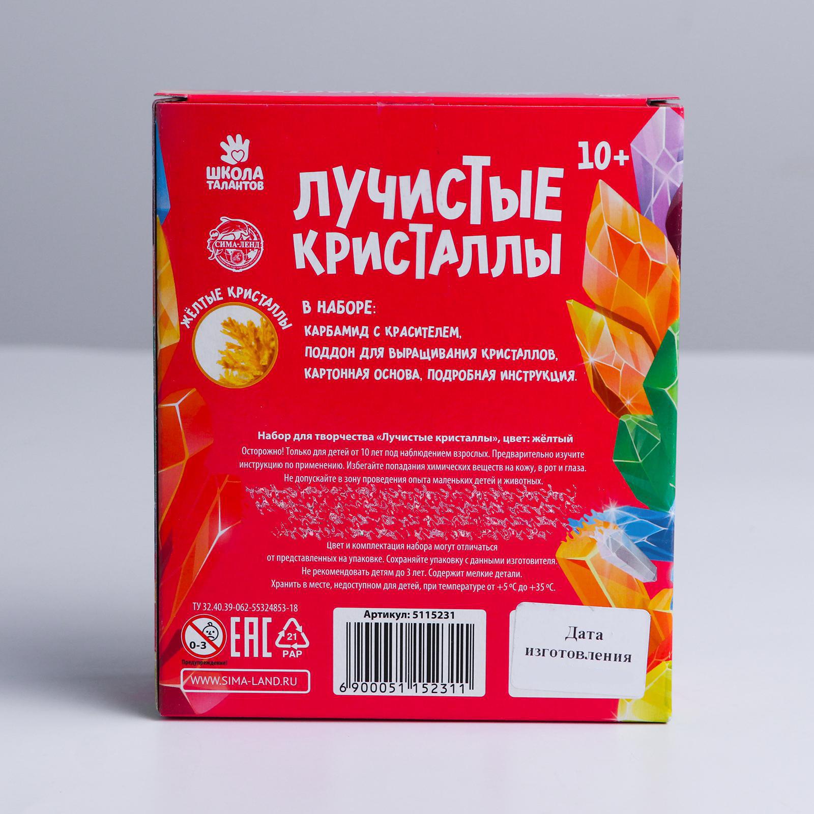 Набор для выращивания Школа Талантов - фото 4