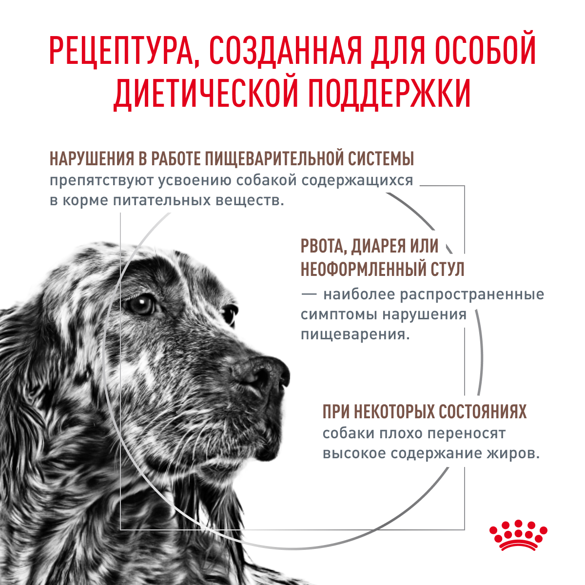 Корм для собак ROYAL CANIN Gastro Intestinal Low Fat LF22 при нарушении пищеварения с ограниченным содержанием жиров 1.5кг - фото 3