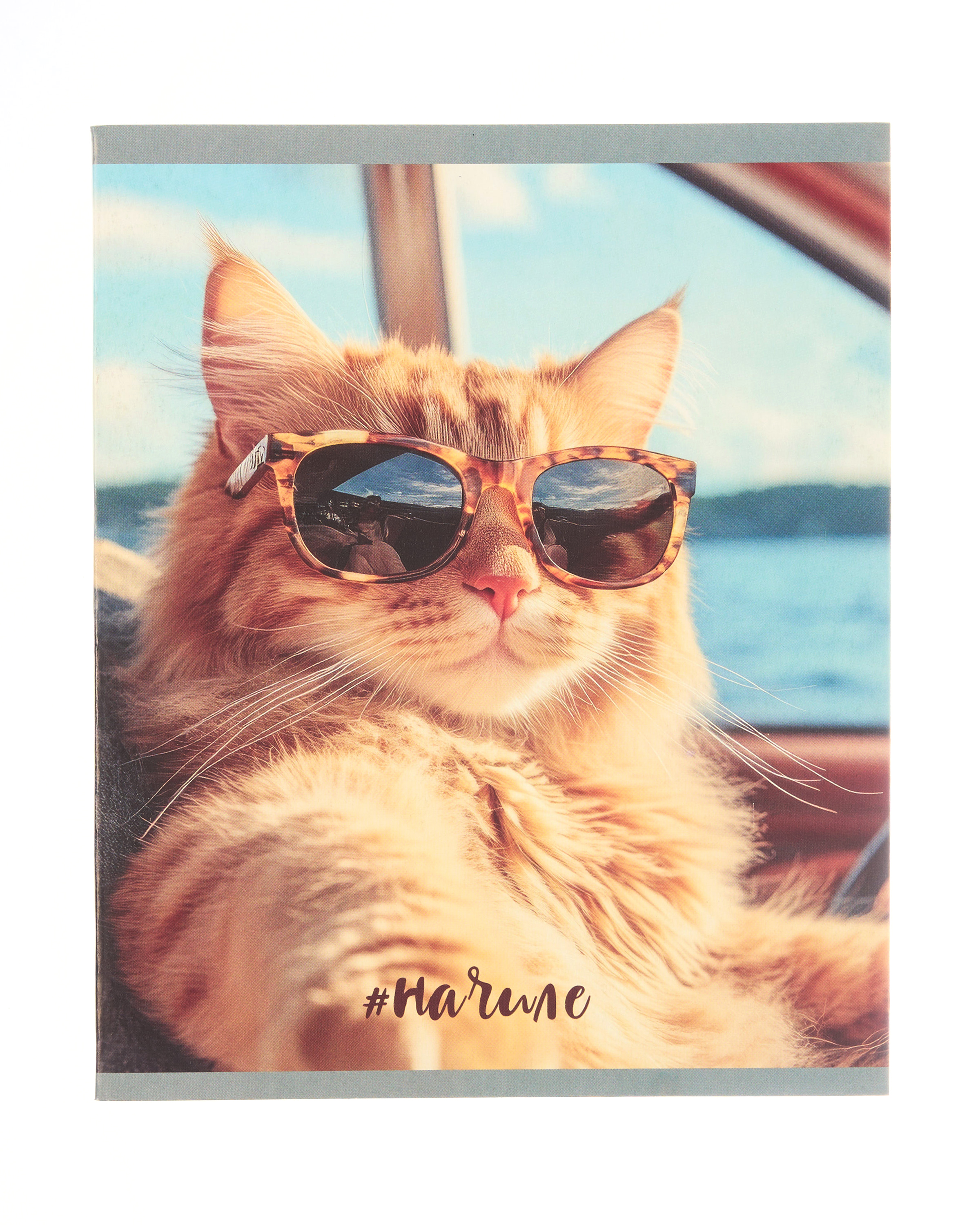 Тетрадь Erhaft линейка 24 лист. 1 шт. в ассортименте - фото 2