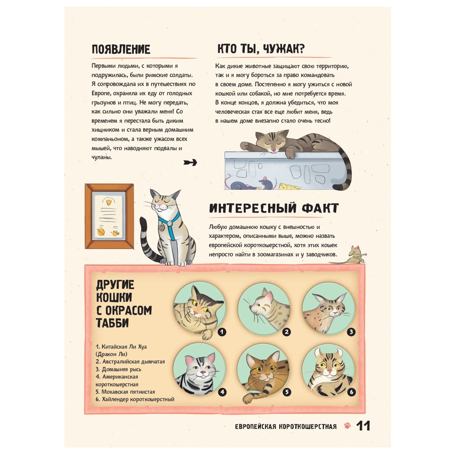 Книга АСТ Энциклопедия о кошках для детей Кошачьи истории внутри - фото 6
