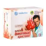 Набор для опытов Intellectico