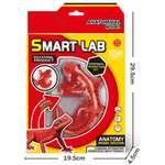 Набор для опытов 1TOY Ящерица