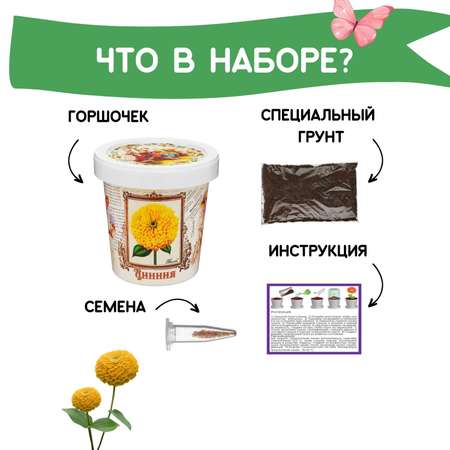 Набор для выращивания Rostok Visa