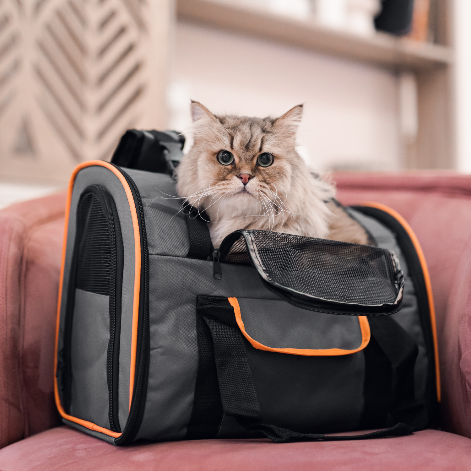 Переноска для собак Не один дома Orange 860521-09BLAC - фото 1