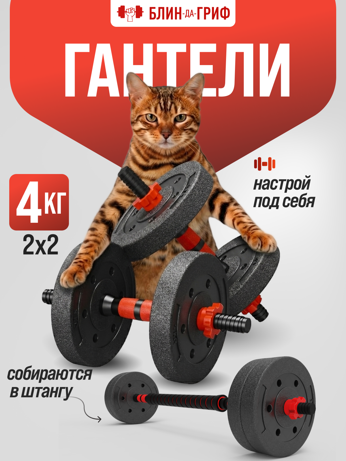 Изображение товара Набор блинов с грифом БлинДаГриф 2 кг 2 шт для домашних тренировок фитнеса и бодибилдинга